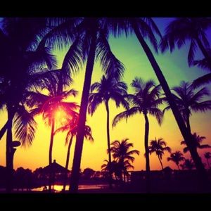 Meet your Posher, Marilyn